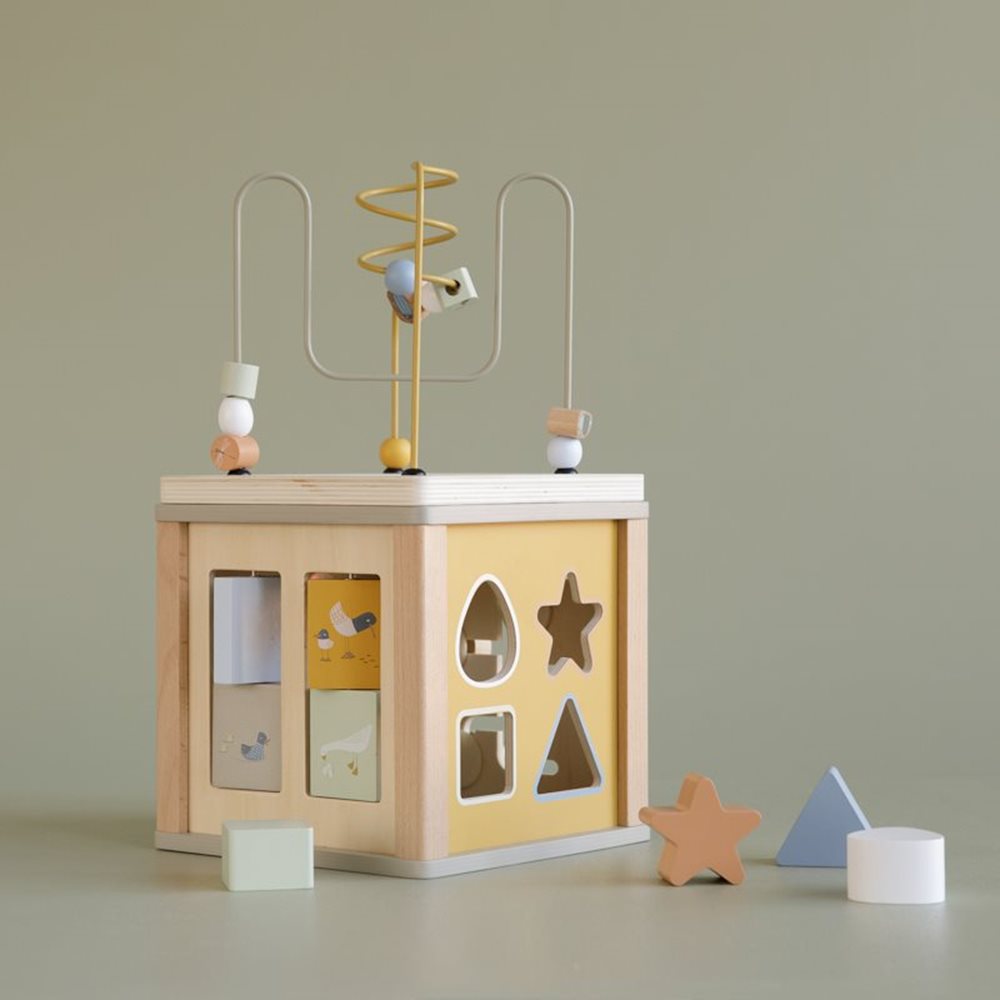 Activity Cube - Little Goose
